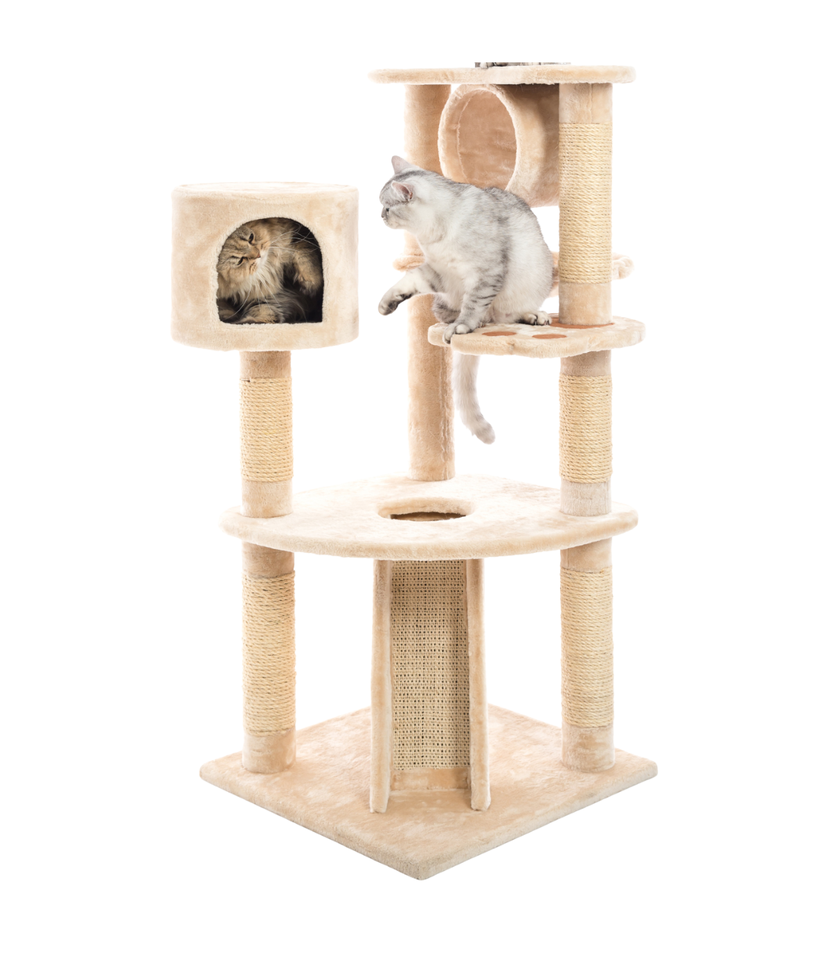 Design_sans_titre_5.png
