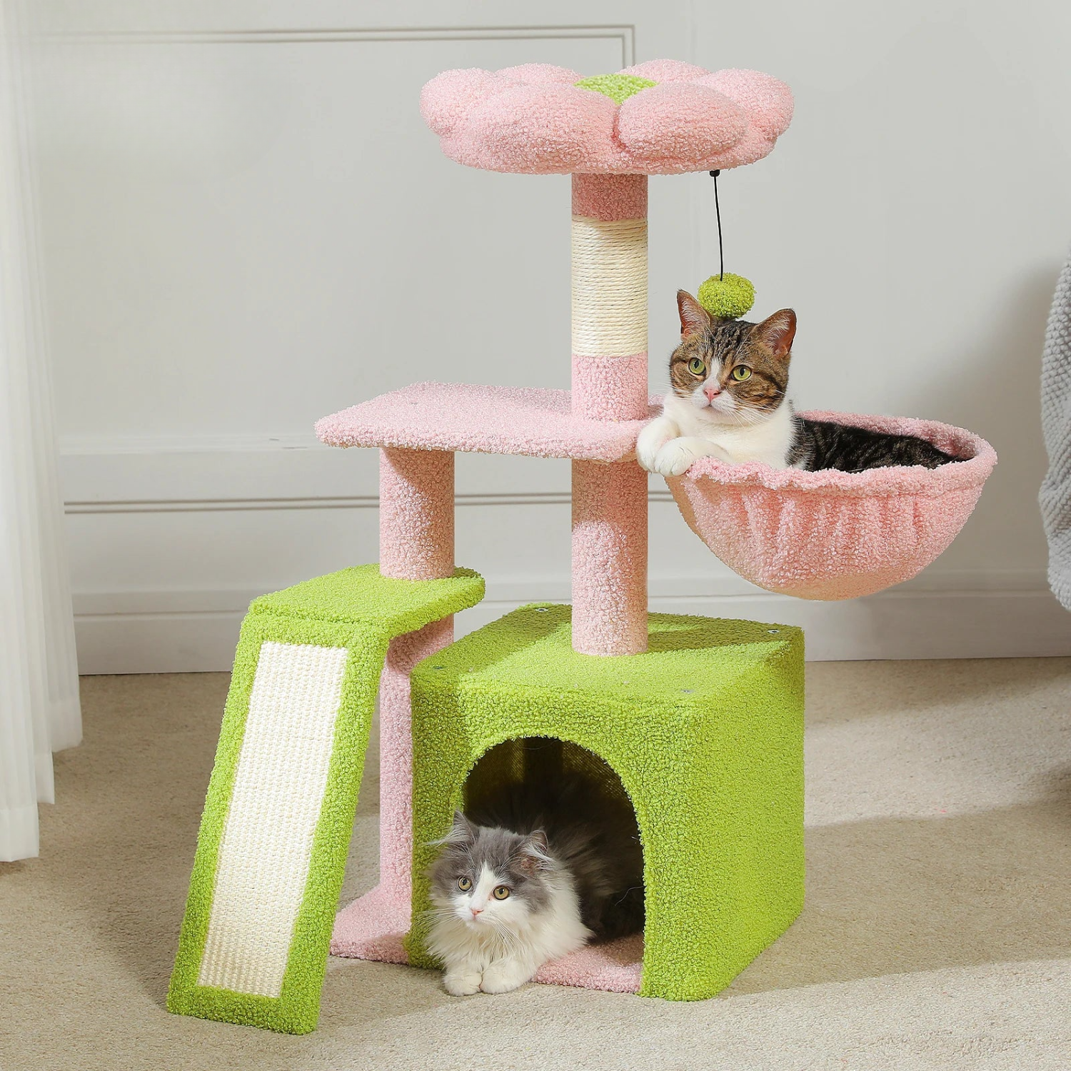 Arbre à chat fleur