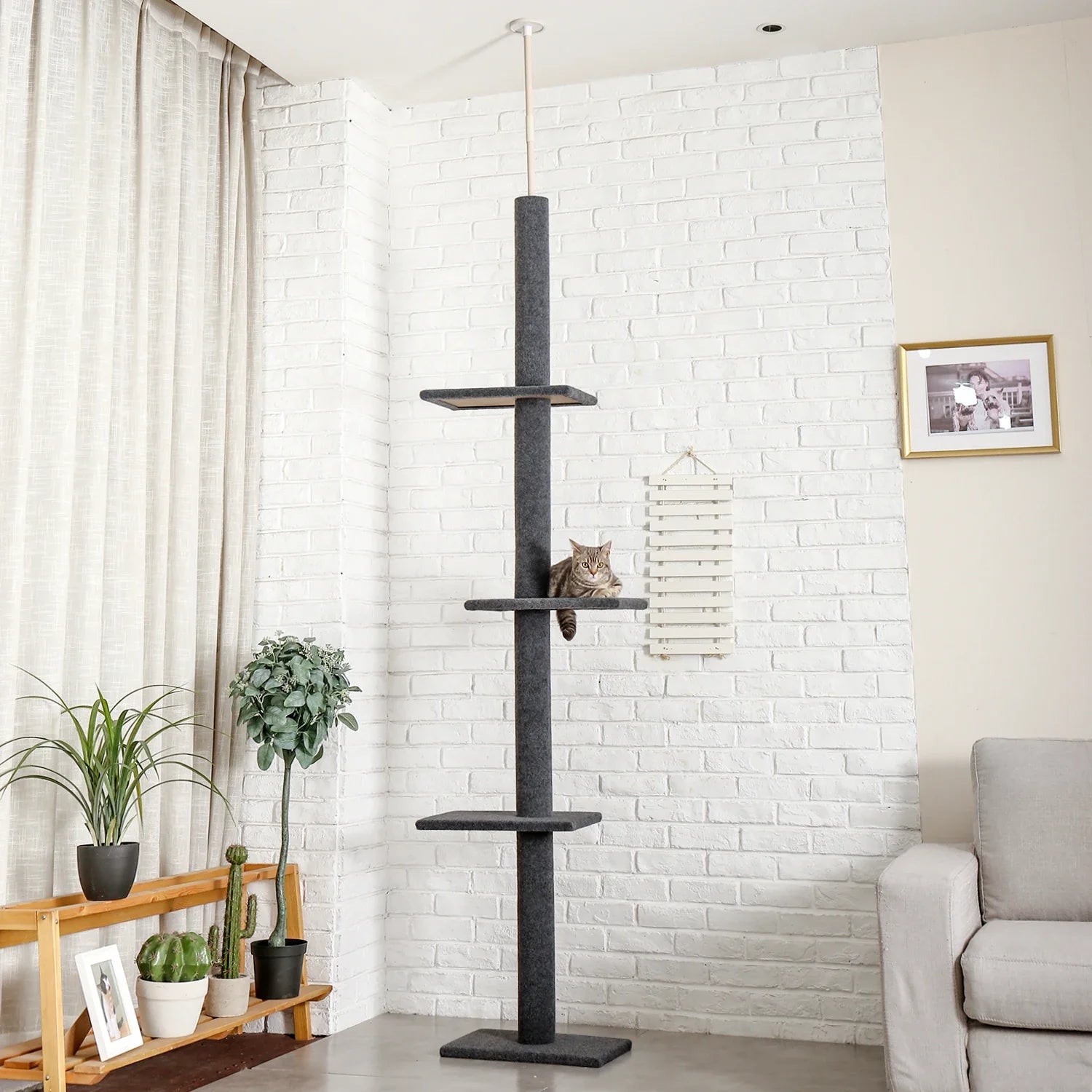 Arbre à chat par type