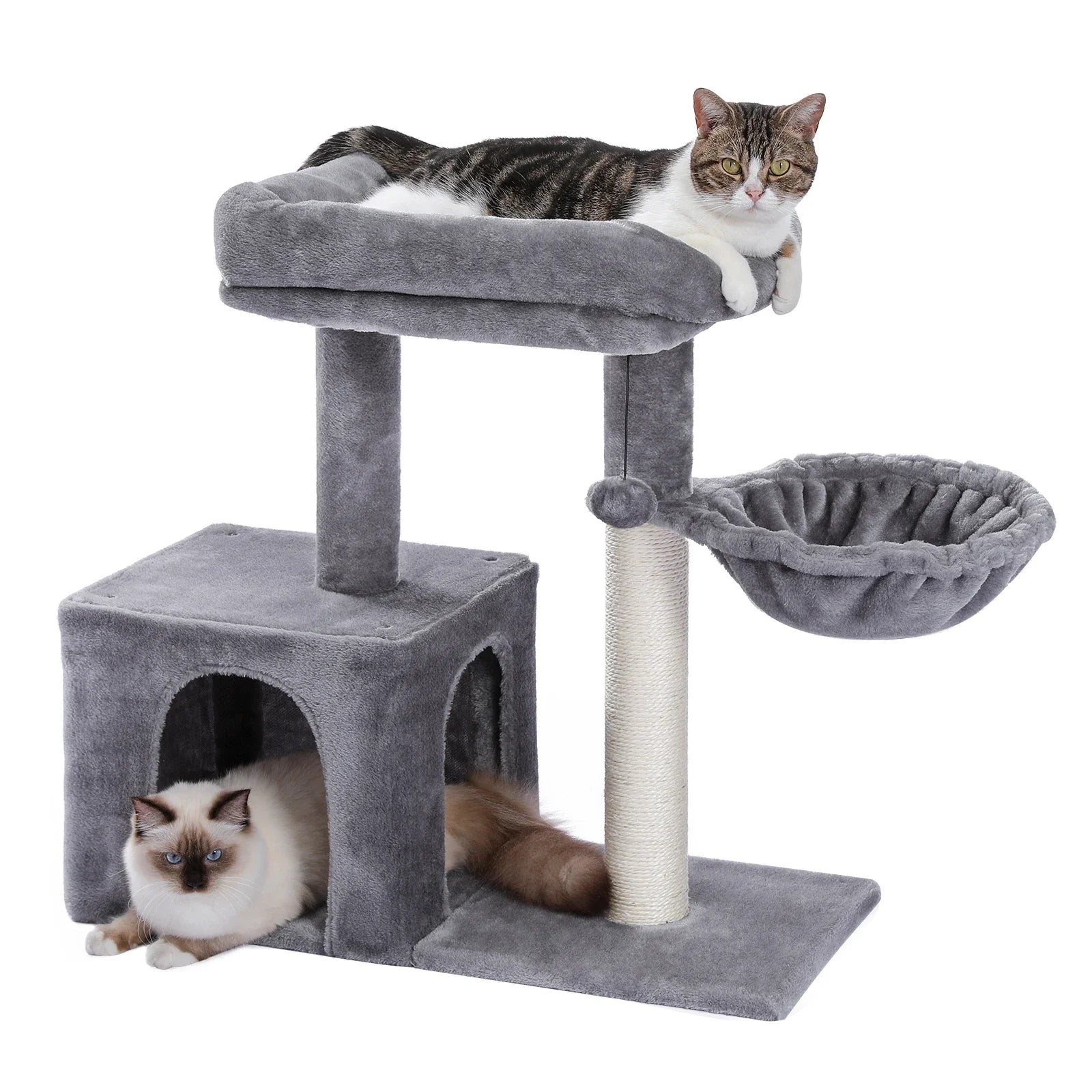 Arbre à chat petit