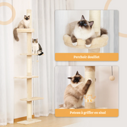 Arbre à chat plafond XXL géant - sans perçage, hamac spacieux et griffoirs sisal naturel