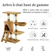 Arbre à chat petit - capacité 25kg, échelle inclinée, niche Douillette et griffoirs sisal