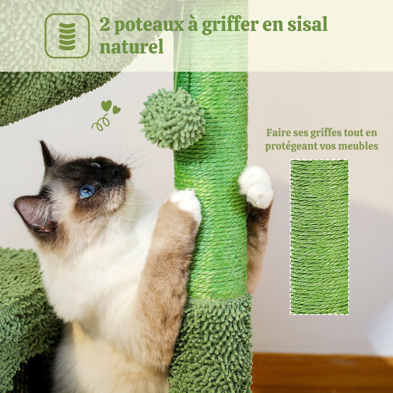 Arbre à chat cactus vert - design original, condo circulaire et hamac métallique