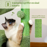 Arbre à chat cactus vert - design original, condo circulaire et hamac métallique