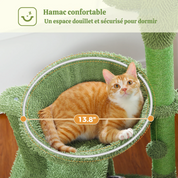Arbre à chat cactus vert - design original, condo circulaire et hamac métallique