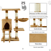 Arbre à chat petit - capacité 25kg, échelle inclinée, niche Douillette et griffoirs sisal