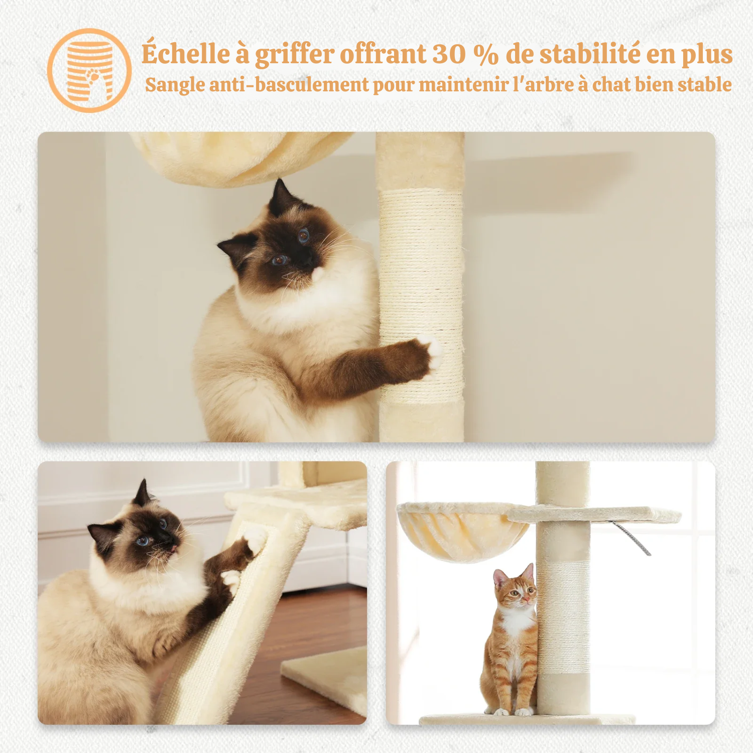 (faire photo) Arbre à Chat XXL Sol-Plafond 210-274cm - 5 Niveaux, Installation Sans Perçage, 5 Coloris Disponibles - Grands Chats