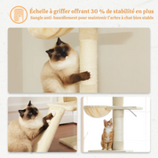 (faire photo) Arbre à Chat XXL Sol-Plafond 210-274cm - 5 Niveaux, Installation Sans Perçage, 5 Coloris Disponibles - Grands Chats