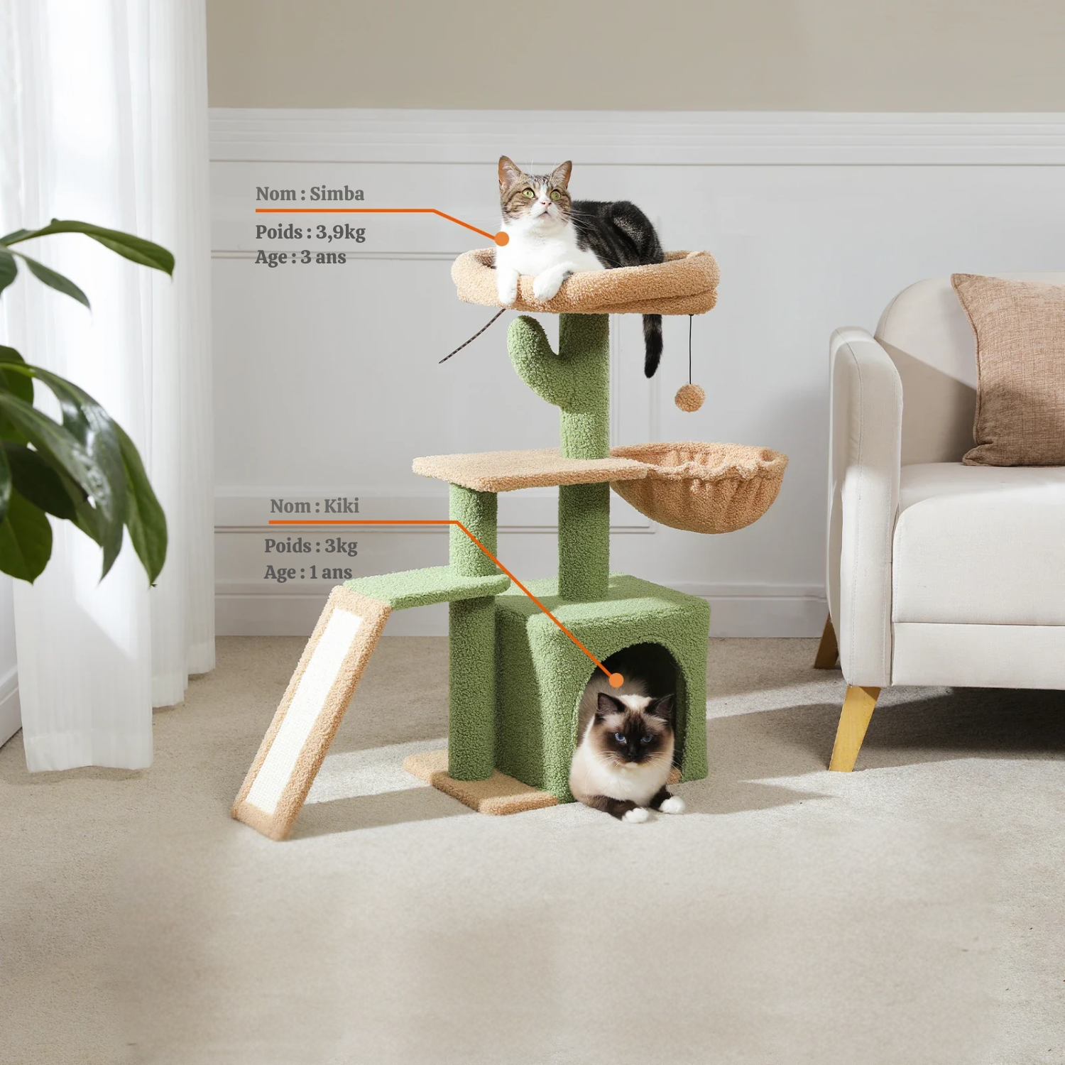 Arbre à chat fleur - condo douillet, hamac suspendu et rampe sisal