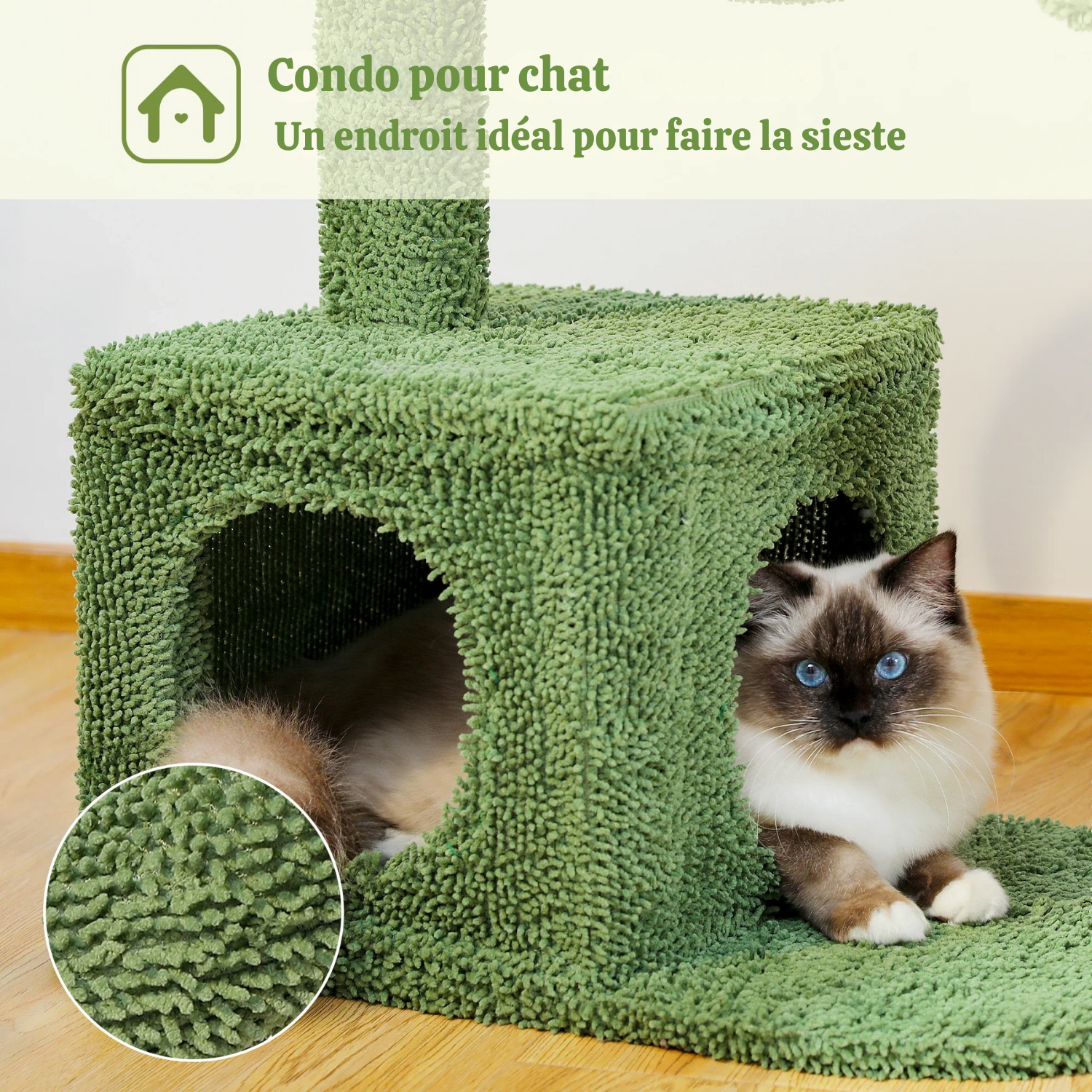 Arbre à chat cactus vert - design original, condo circulaire et hamac métallique