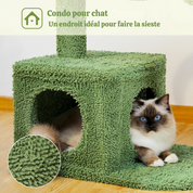 Arbre à chat cactus vert - design original, condo circulaire et hamac métallique