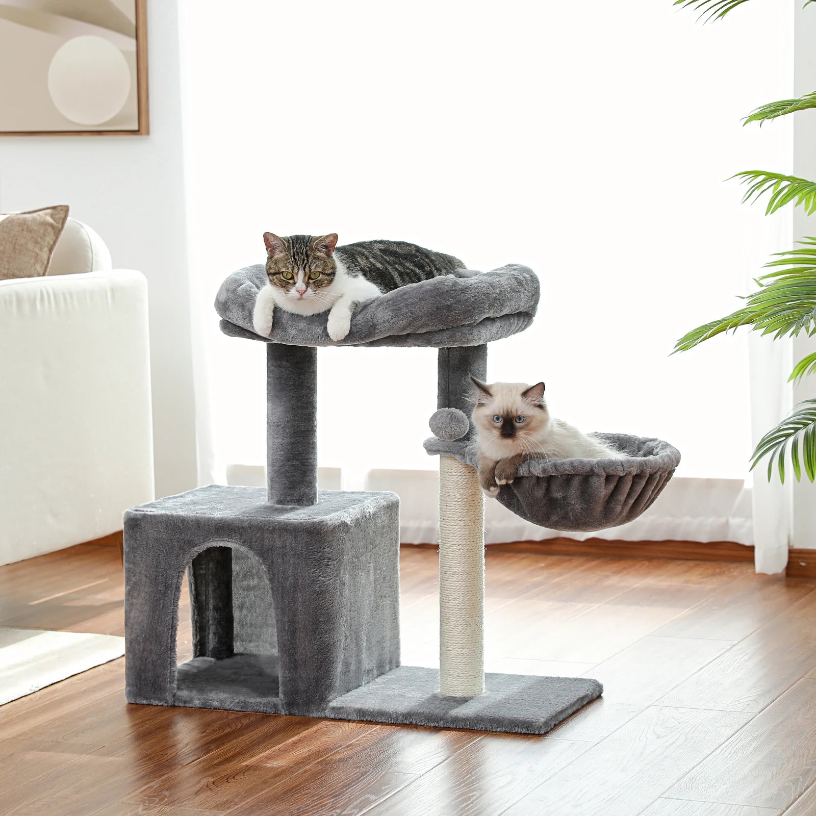 Arbre à chat petit compact - structure bois massif, condo et perchoir sécurisé
