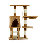 Arbre à chat petit - capacité 25kg, échelle inclinée, niche Douillette et griffoirs sisal