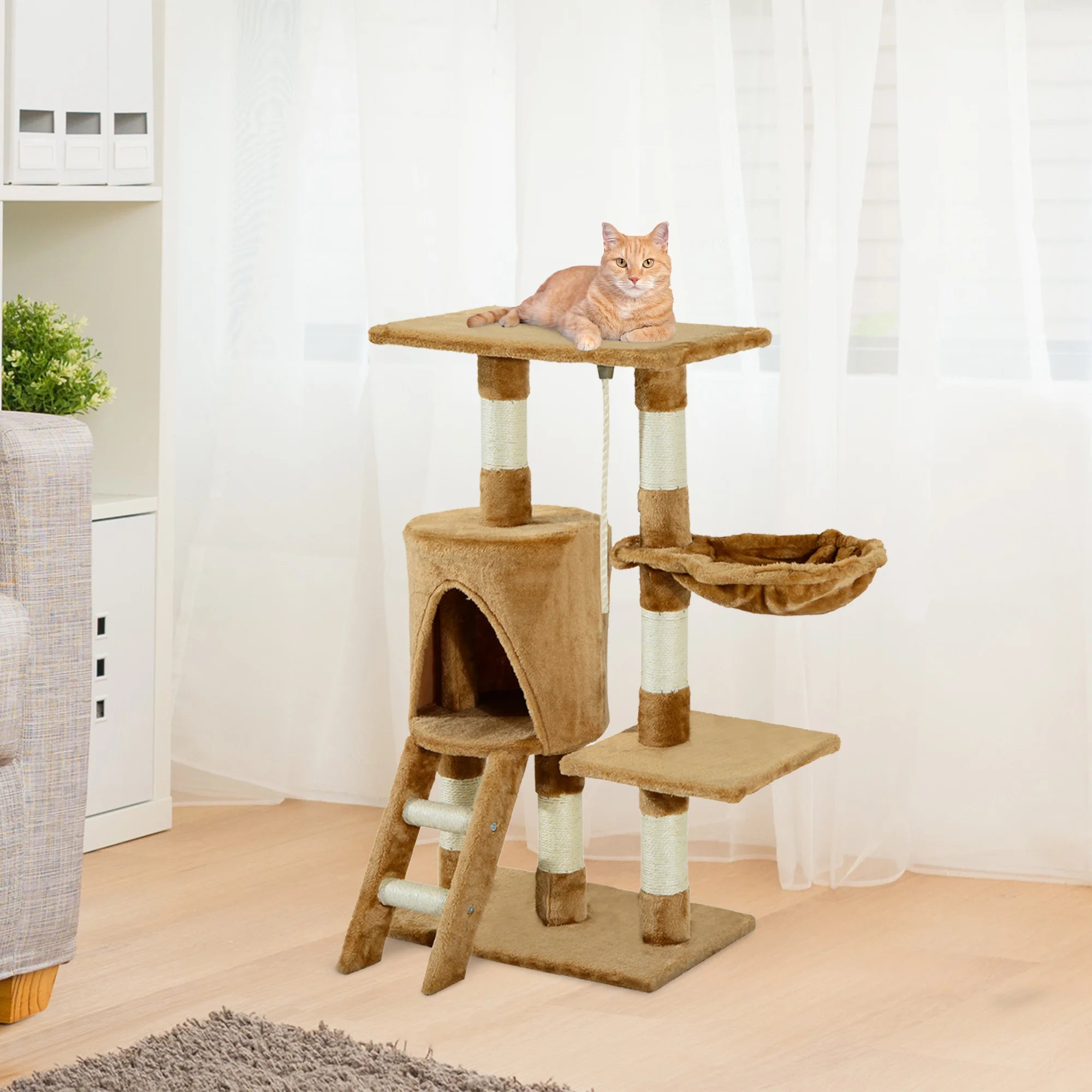 Arbre à chat petit - capacité 25kg, échelle inclinée, niche Douillette et griffoirs sisal