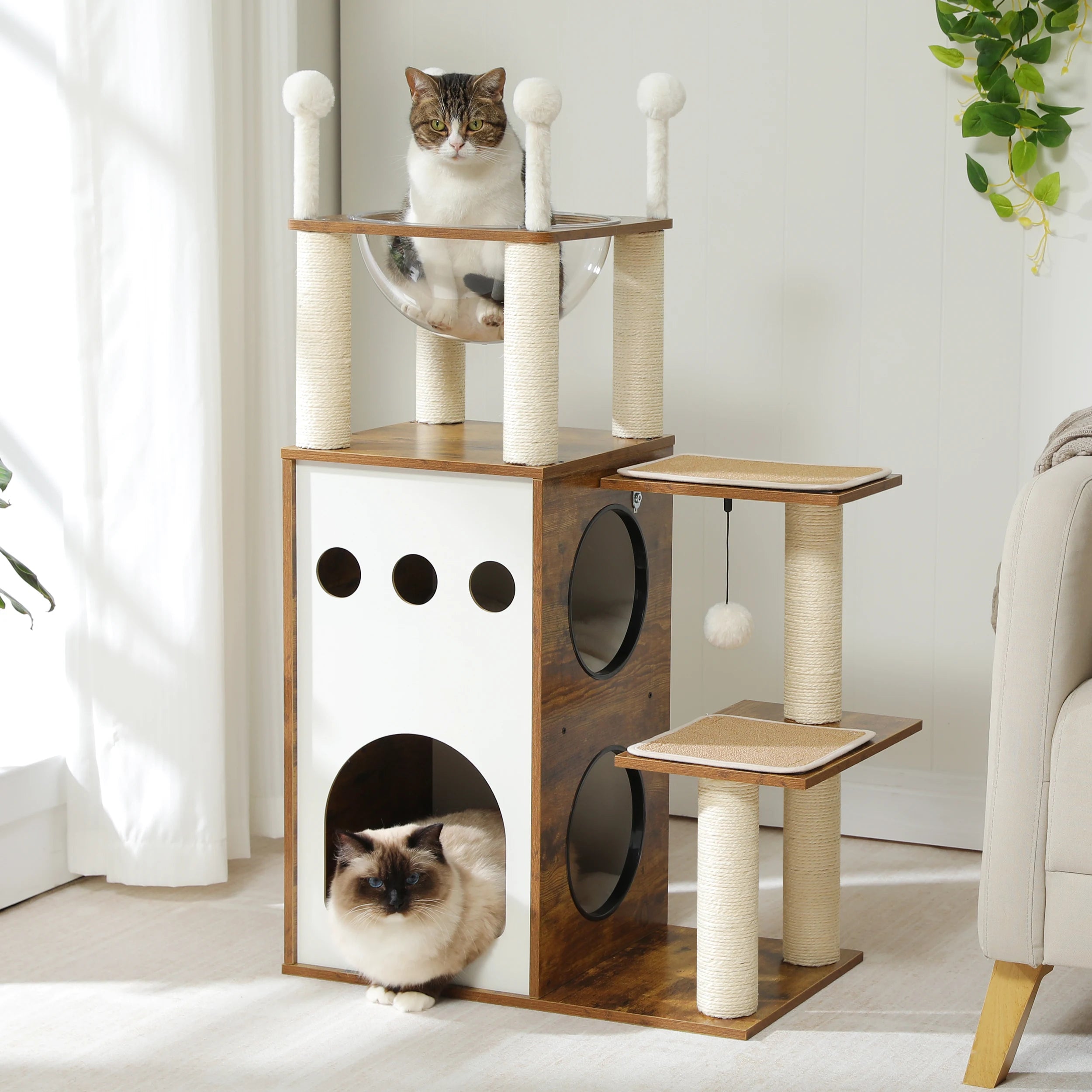 Arbre à chat petit 4 niveaux avec perchoir - niche double, griffoirs sisal - patins antidérapants