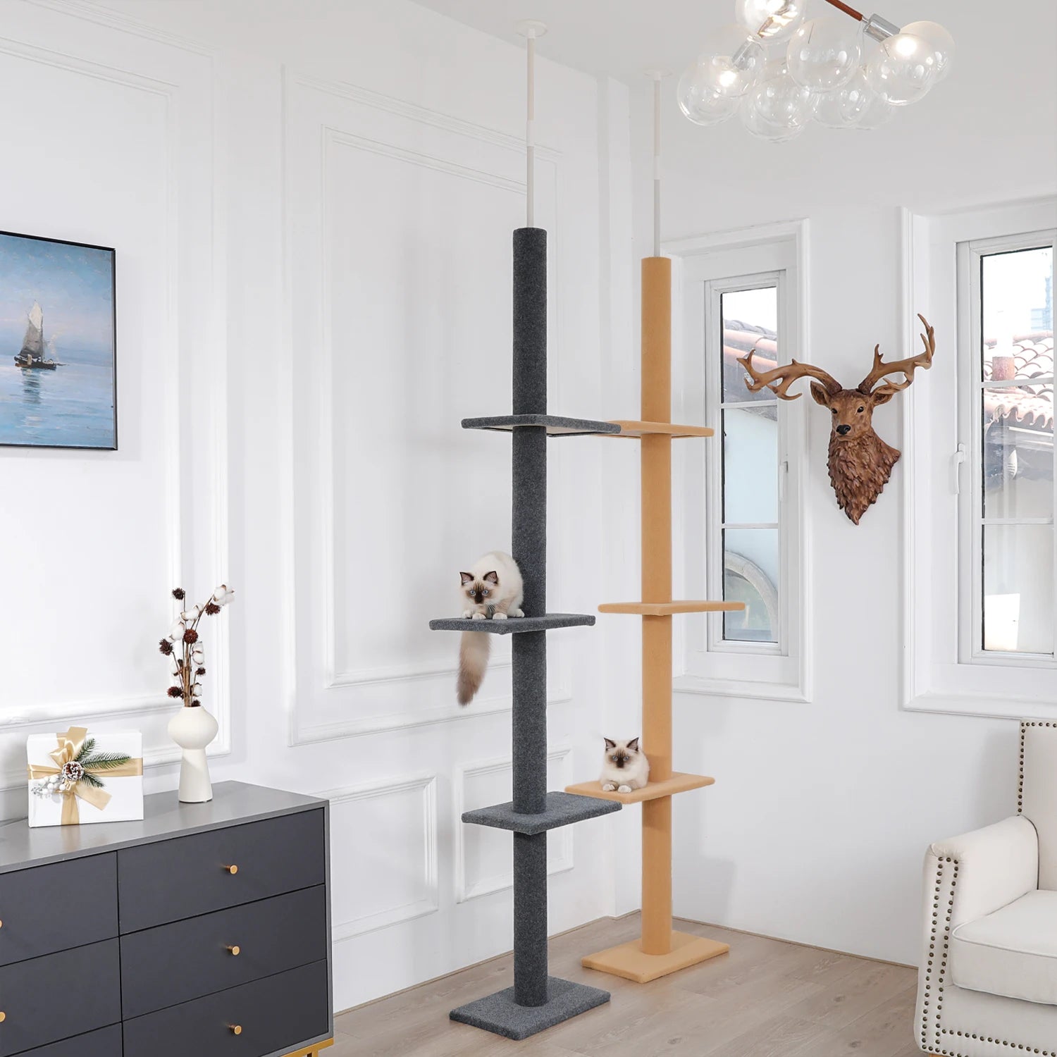 Arbre à chat plafond XXL géant - sans perçage, hamac spacieux et griffoirs sisal naturel
