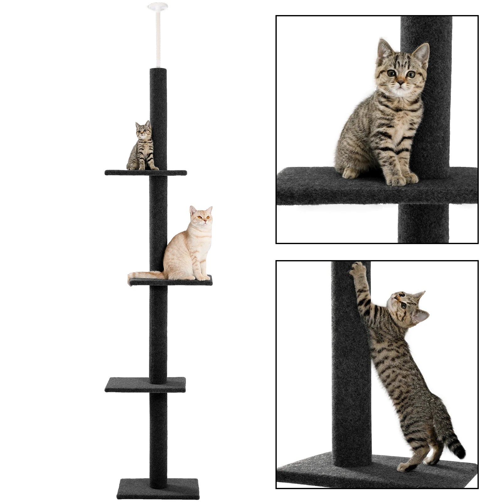 Arbre à chat plafond XXL géant - sans perçage, hamac spacieux et griffoirs sisal naturel