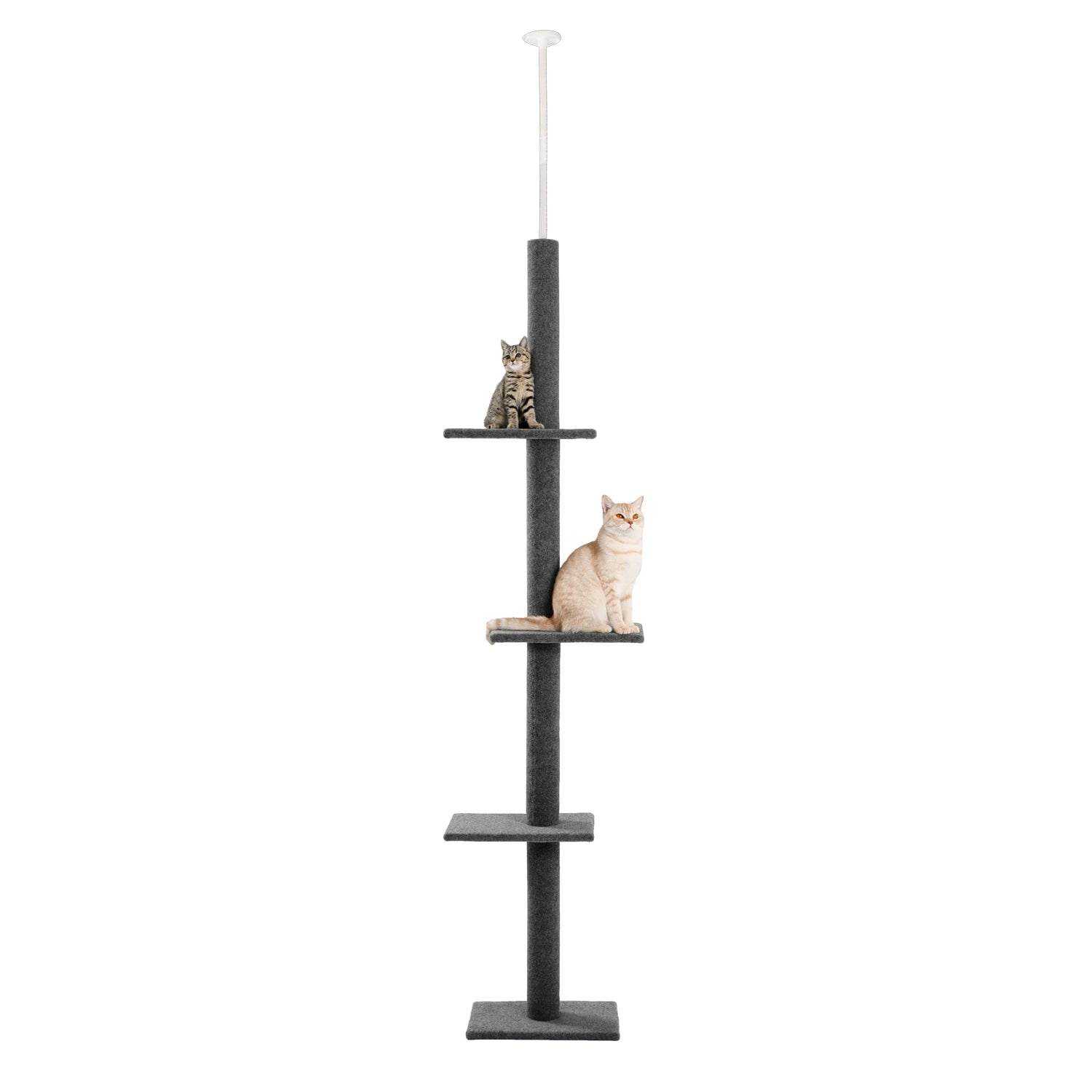 Arbre à chat plafond XXL géant - sans perçage, hamac spacieux et griffoirs sisal naturel