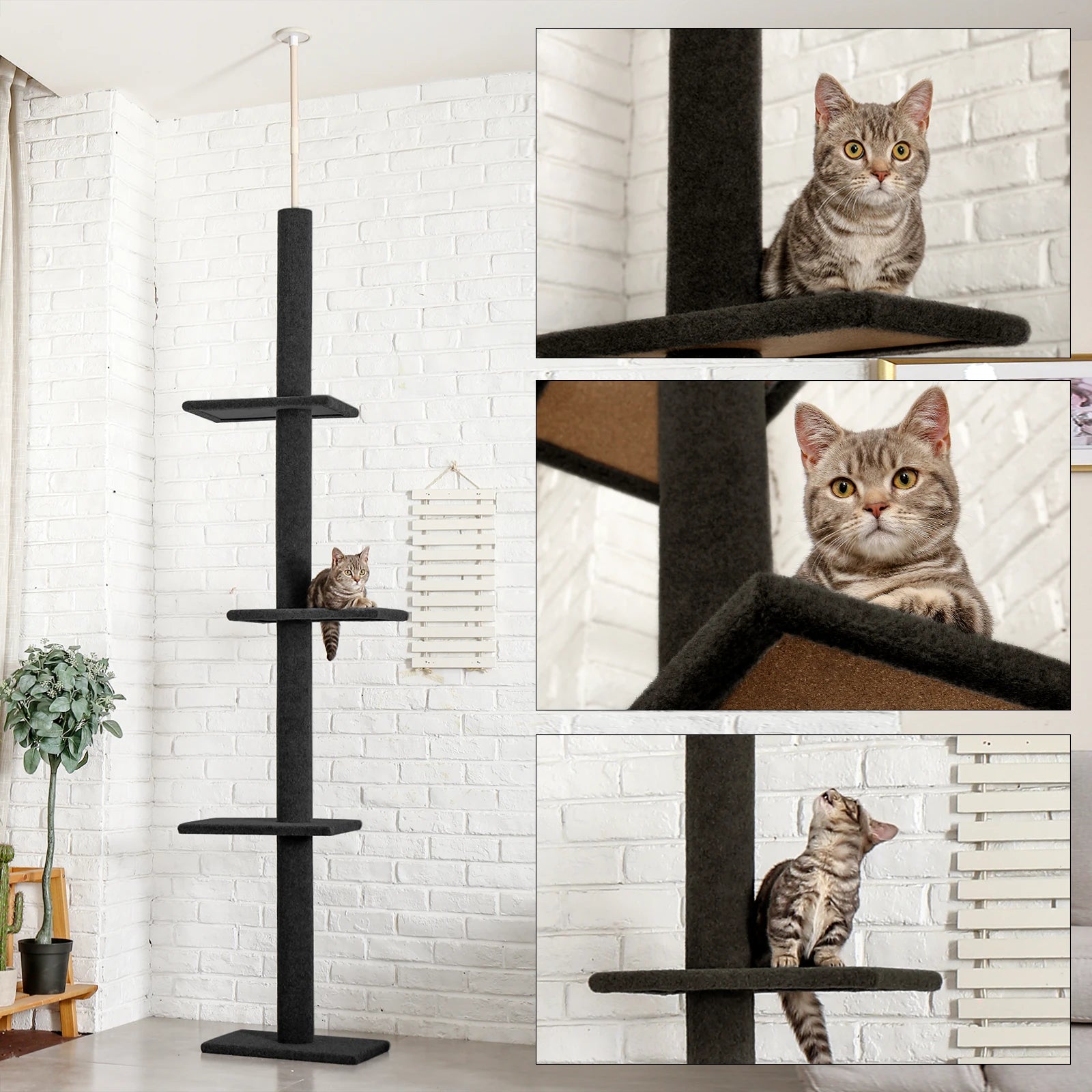 Arbre à chat plafond XXL géant - sans perçage, hamac spacieux et griffoirs sisal naturel