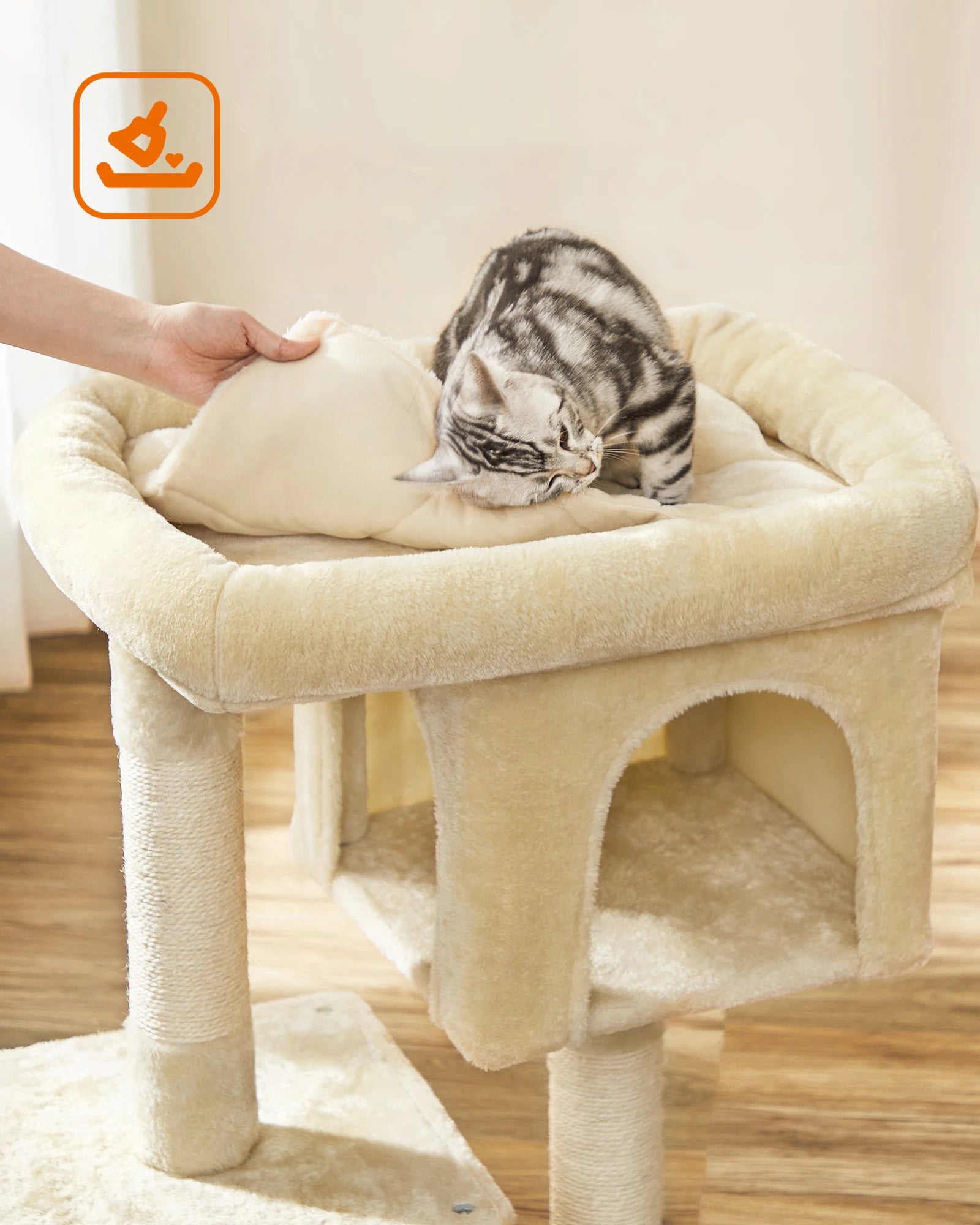 Arbre à chat petit avec condos douillets - structure stable pour grands Chats, griffoirs sisal et perchoir lavable