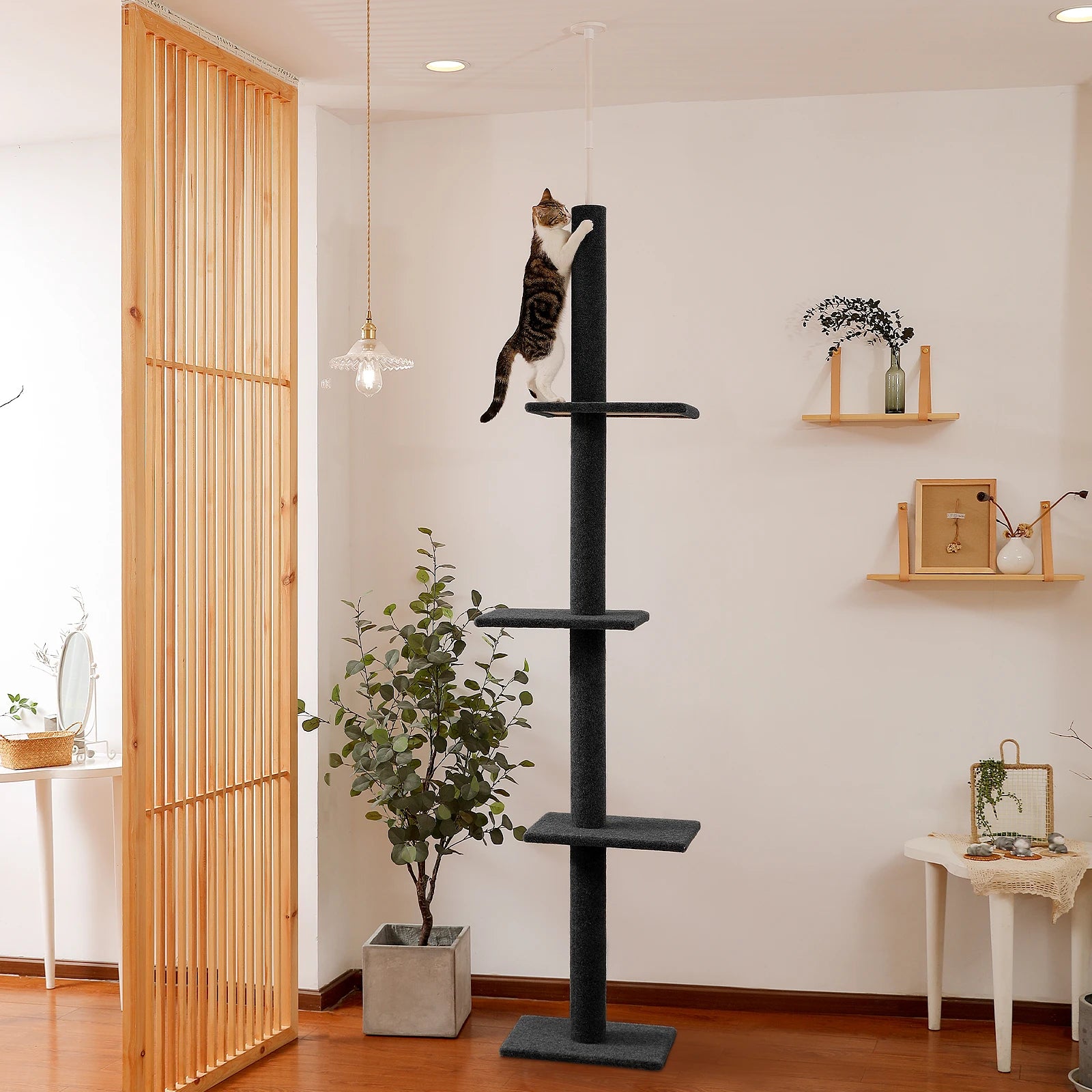 Arbre à chat plafond XXL géant - sans perçage, hamac spacieux et griffoirs sisal naturel