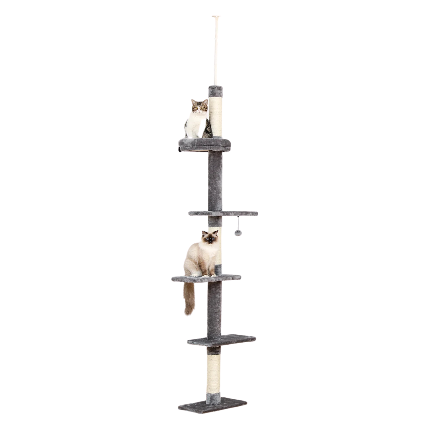 product-cat_4bb2750f-dde5-4a20-bdc6-ff375bd0cd8b.png