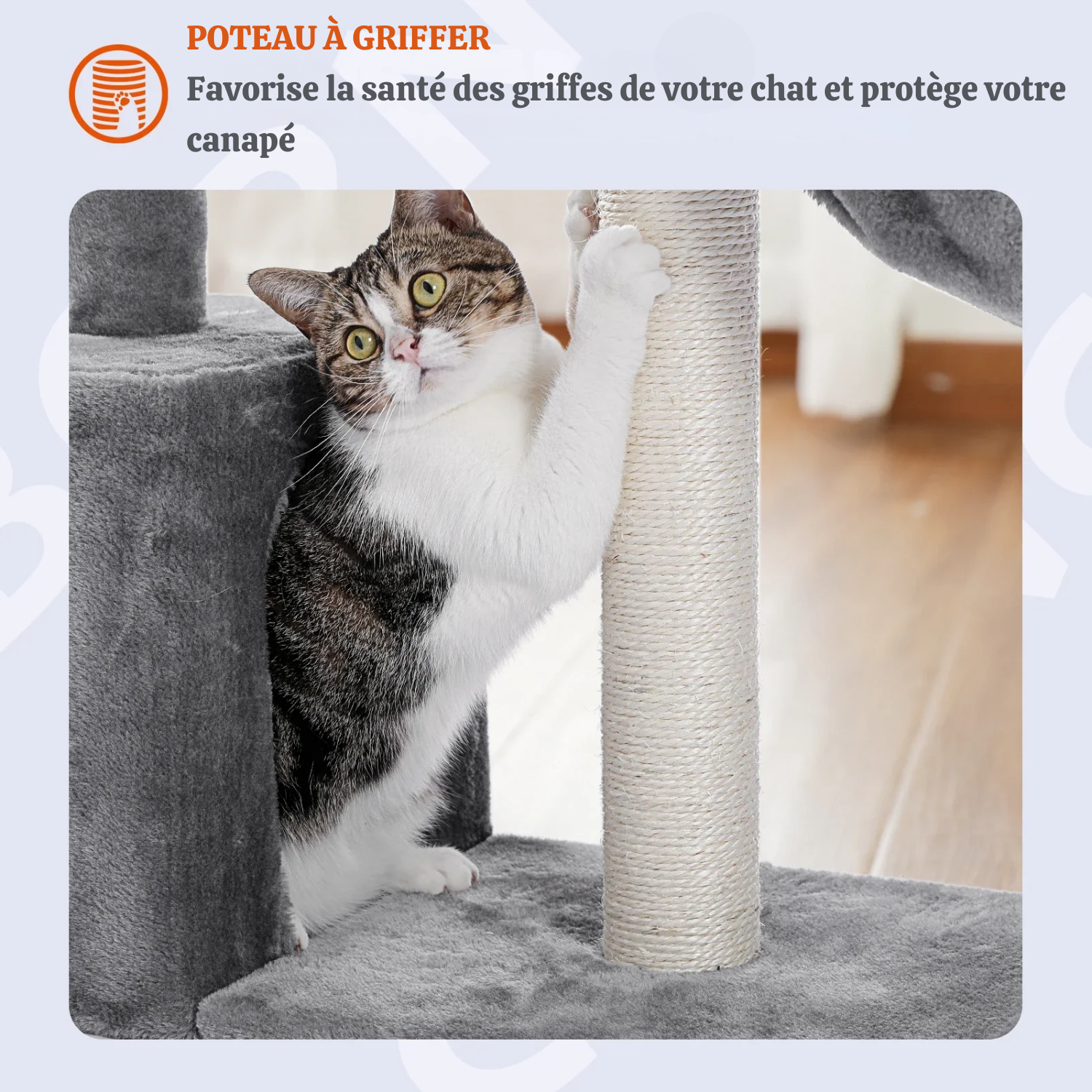 Arbre à Chat Compact 80cm pour Chatons - Plateforme Sécurisée 40x30cm, Condo Douillet et Hamac Profond - Gris