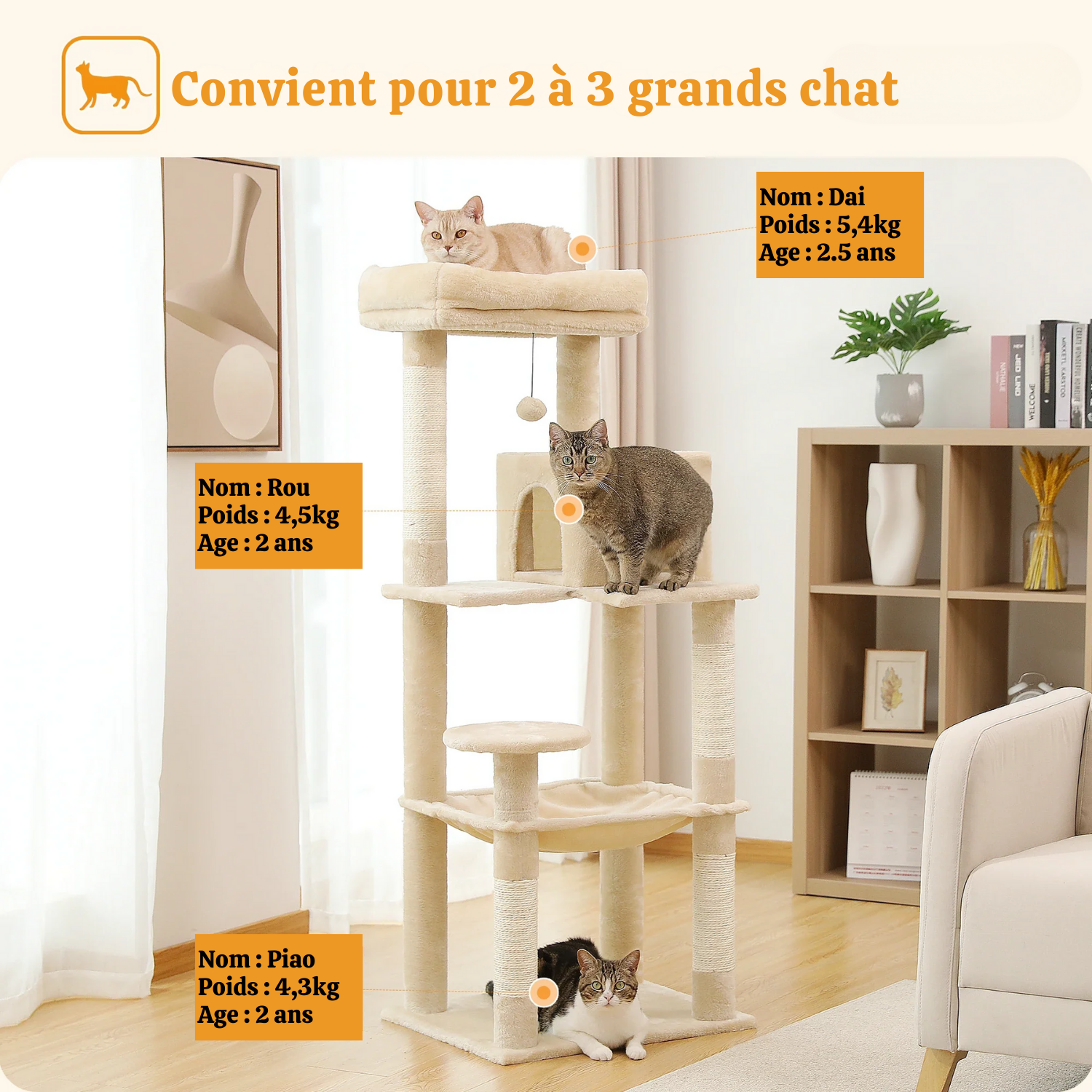Arbre à Chat Modulable 106-143cm - Brosse Auto-Nettoyante, Condo Douillet, Griffoirs Sisal - 3 Chats Maximum