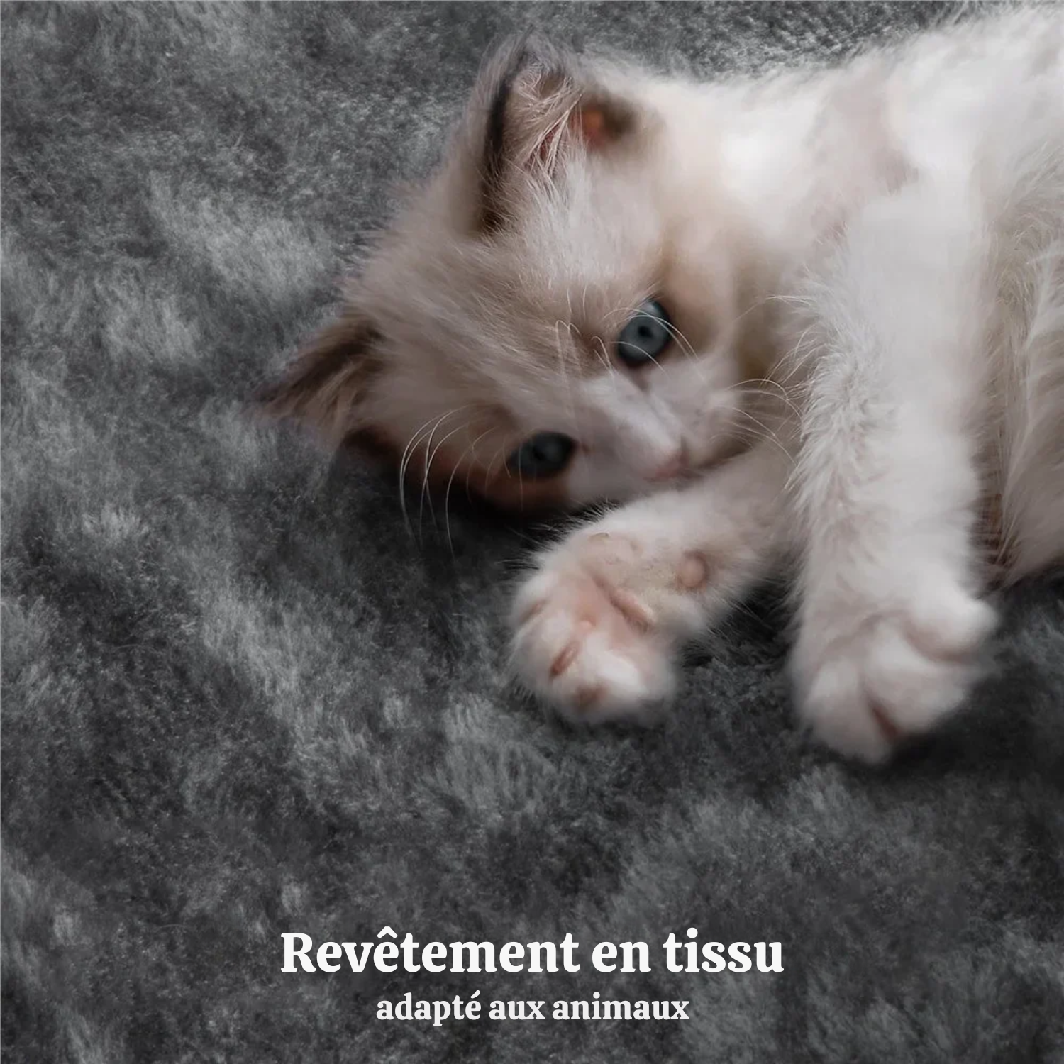 Arbre à Chat Petit Espace : Robustesse Maximale, Hamac 4 Points, Confort Intégral