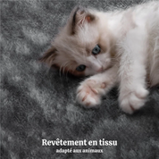 Arbre à Chat Petit Espace : Robustesse Maximale, Hamac 4 Points, Confort Intégral