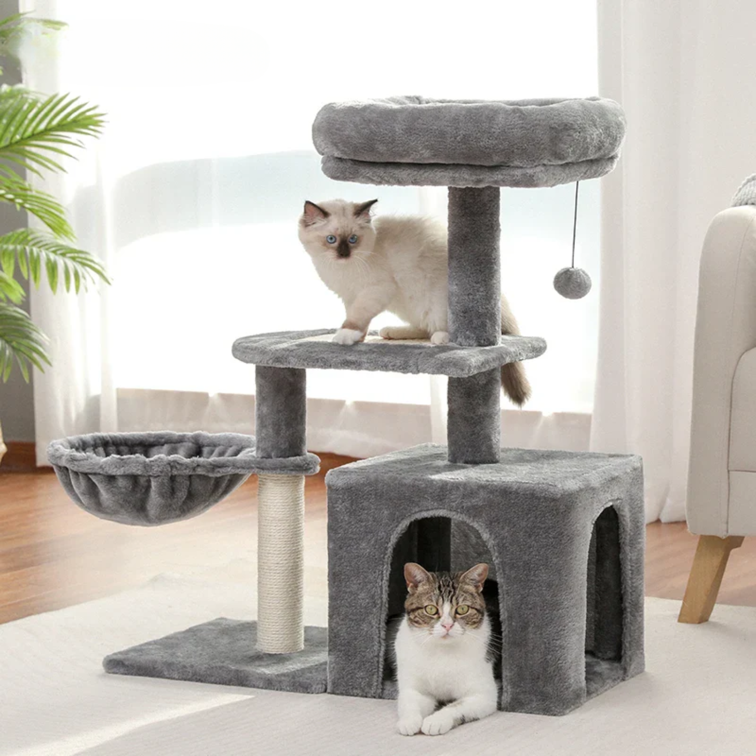 Arbre à Chat Compact 70-80cm - Structure Bois Massif, Condo et Perchoir Sécurisé - Idéal Petits Espaces
