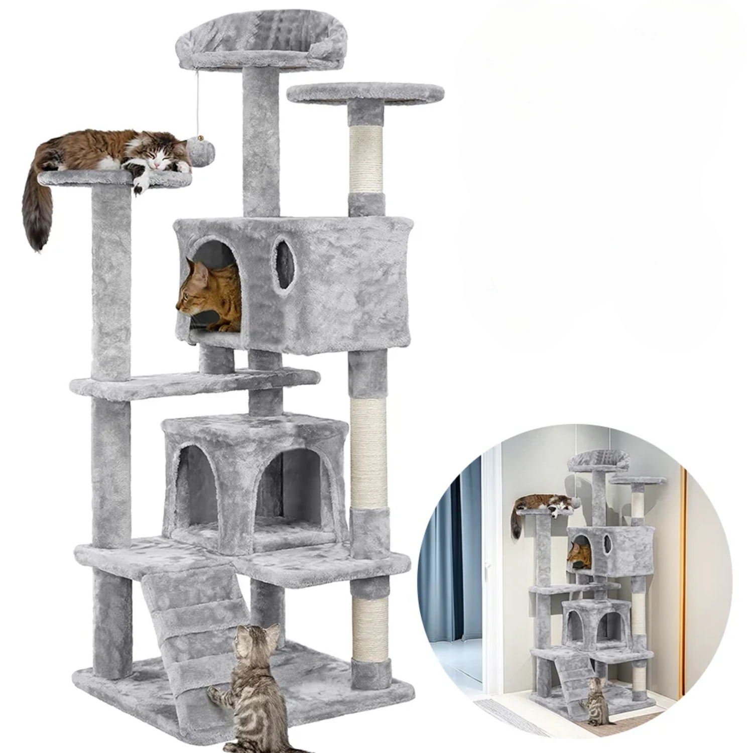 Arbre à Chat Petit Espace : Robustesse Maximale, Hamac 4 Points, Confort Intégral