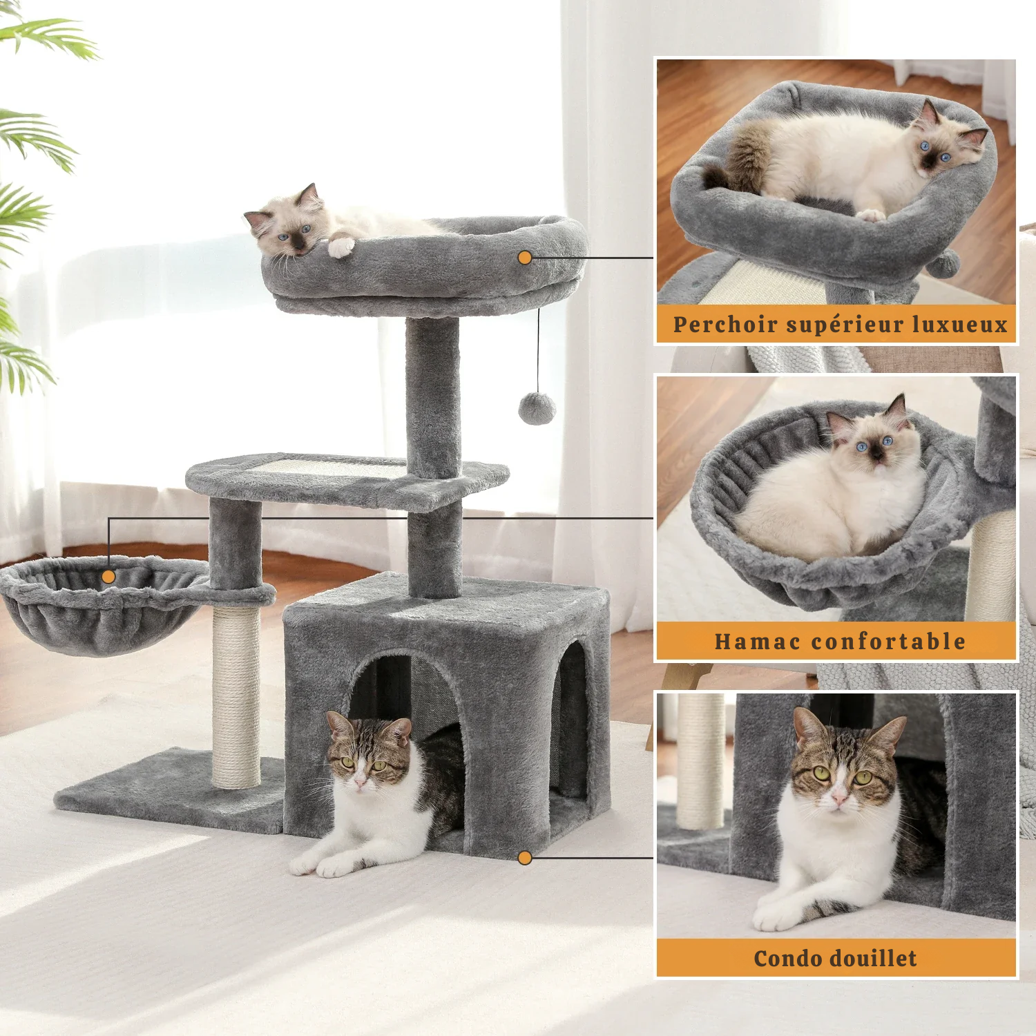 Arbre à Chat Compact 70-80cm - Structure Bois Massif, Condo et Perchoir Sécurisé - Idéal Petits Espaces
