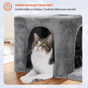 Arbre à Chat Compact 80cm pour Chatons - Plateforme Sécurisée 40x30cm, Condo Douillet et Hamac Profond - Gris